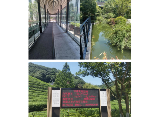 1749537811967.png
